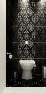 Modern classic black and white tile Toilet Interior Design Blogs
