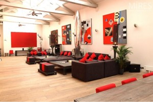 paris loft with soft wood finishes but vibrant furniture accents Interior Design Blogs