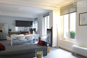 white grey color scheme apartment