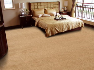 Cut Pile Carpet Interior Design Blogs