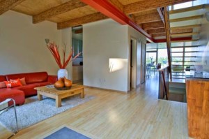contemporary eco friendly living room design1 Interior Design Blogs