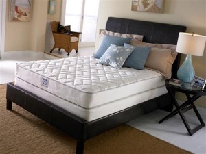 Sealy First Blush Extra Firm Mattress2 Interior Design Blogs