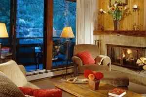 Winter View from a Condo Living Room interior decor