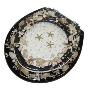home shopping 80 ts blkshell bathroom