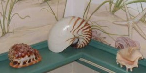 sea shells 21 Interior Design Blogs