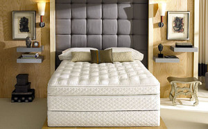 sleep number dallas Interior Design Blogs