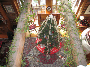 2128314494 4fb6885c88 z1 christmas