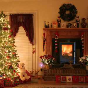 evolution christmas Interior Design Blogs