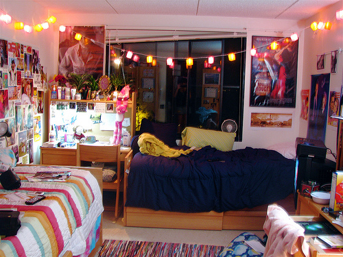 Dorm Room Ideas (2)