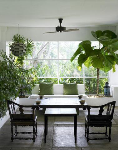 Indoor Garden Ideas (4)