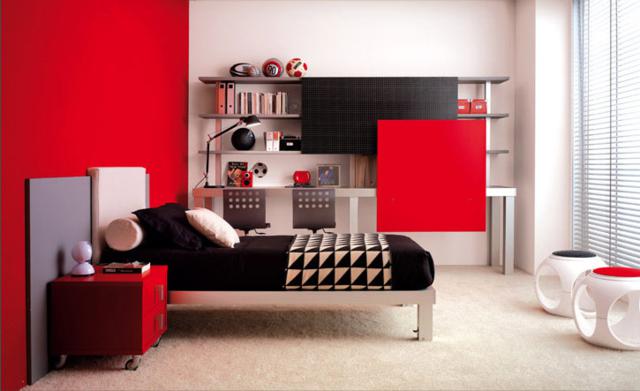 teenage contemporary bedrooms (5)