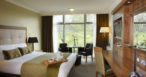 Hotel Inspired Bedrooms (2)
