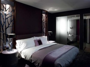 More About Hotel Bedrooms (5)