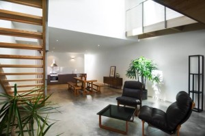 interior-design-plants-in-apartment