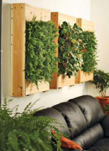 indoor-living-wall-planter-1.img_assist_custom