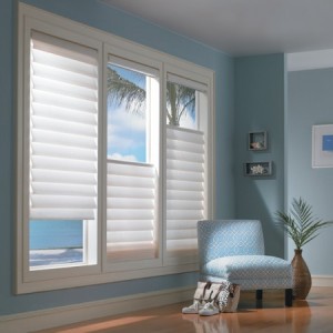 metallic-window-blinds-e1320395588741