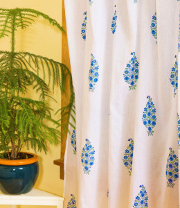 tropical-windows-and-doors