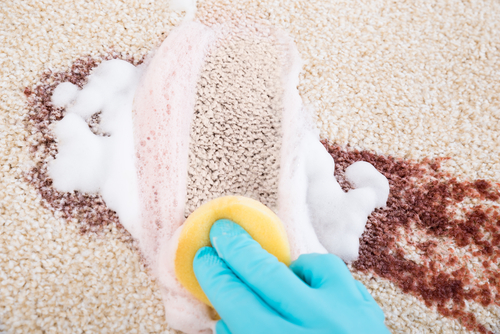 how-to-remove-wine-stains-on-carpet2