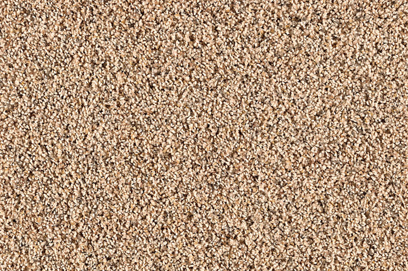 mo-carpet closeup