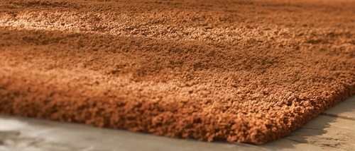 rusty carpet use jpg