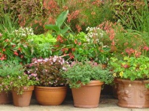 Should Plastic Flowers be Part of Your Garden? garden decoration Plastic Flowers Garden 4 garden decoration