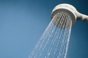 shower head 590 Interior Design Blogs