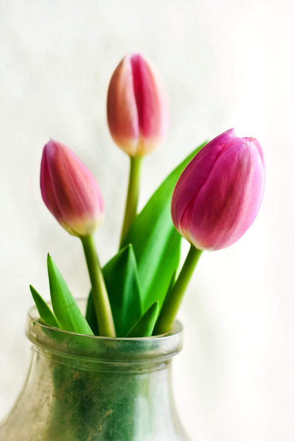 spring is here 3 l Interior Design Blogs