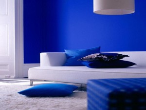 cool cobalt blue interior paint Interior Design Blogs