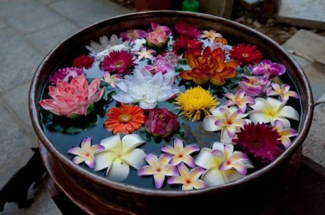 flowers in a bowl ideas 17 Interior Design Blogs