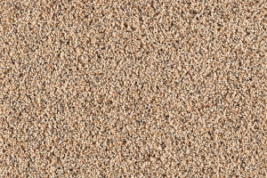 mo carpet closeup Interior Design Blogs