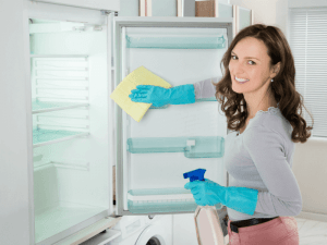 cleaning the fridge compressor Interior Design Blogs