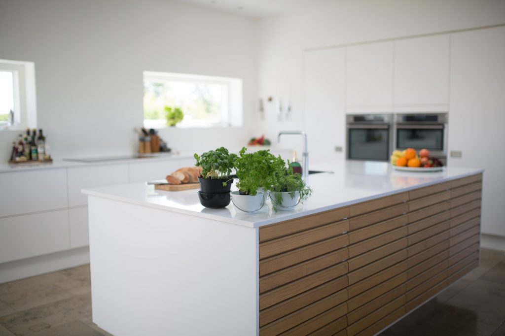 green-leafed-plants-on-kitchen-island