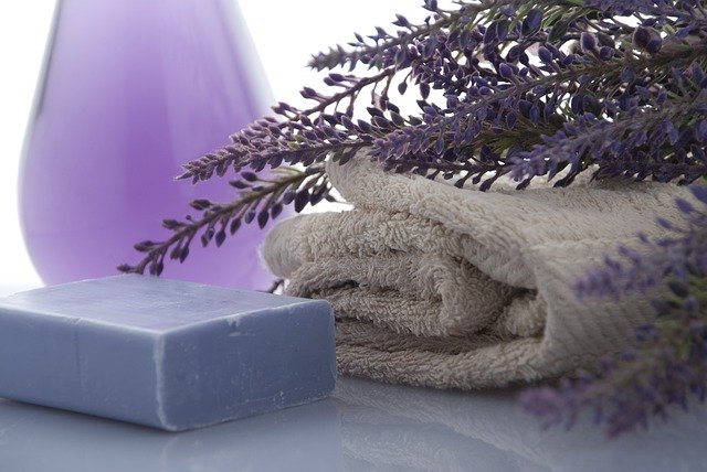 lavender 3066531 640